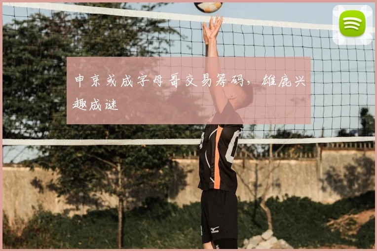 申京或成字母哥交易筹码，雄鹿兴趣成谜