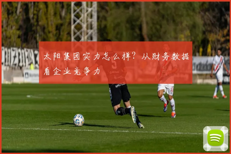太阳集团实力怎么样？从财务数据看企业竞争力